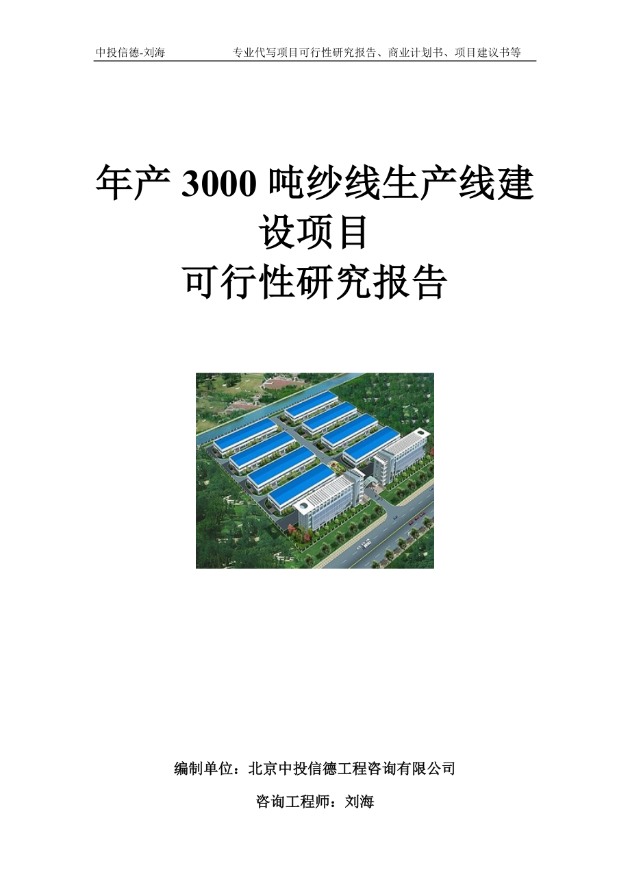 年产3000吨纱线生产线建设项目可行性研究报告模板_第1页