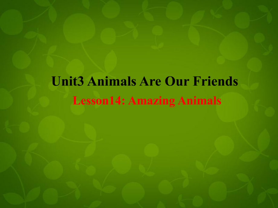 冀教初中英語八下《Lesson 14 Amazing Animals》PPT課件 (2)_第1頁