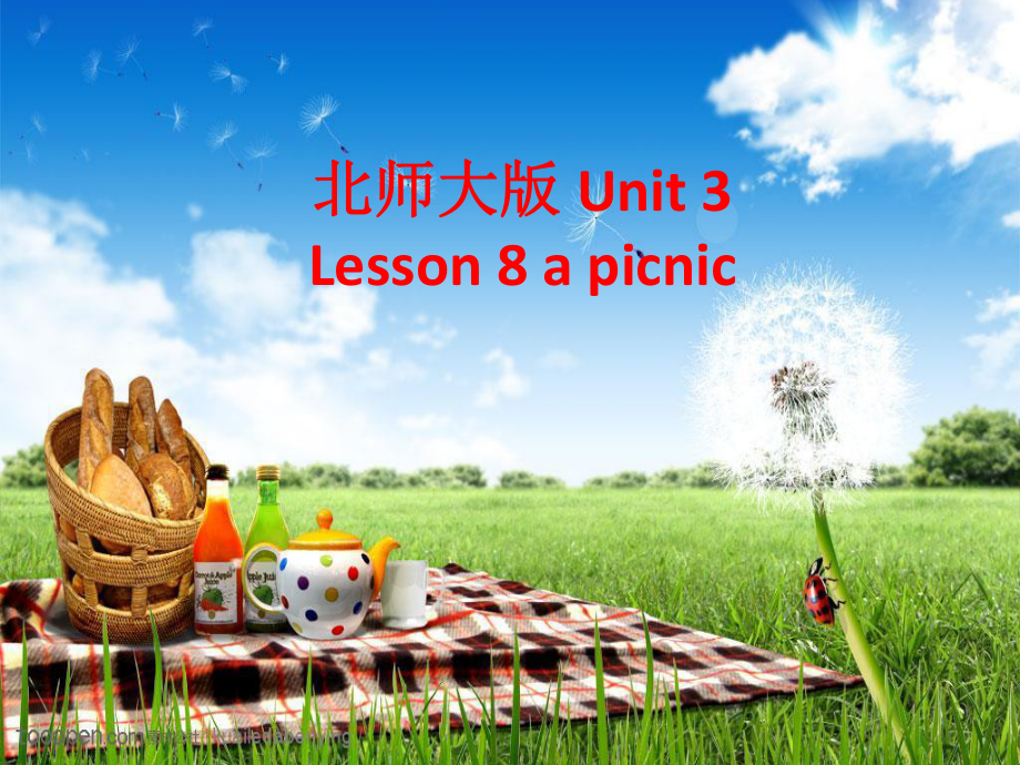 北师大版八年级英语下册课件：Unit 3 Festivals and Holidays Lesson 8 A Picnic 第二课时_第1页
