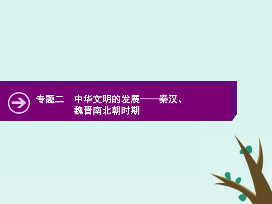 2020版高考历史二轮复习专题二中华文明的发展——秦汉、魏晋南北朝时期ppt课件_第1页