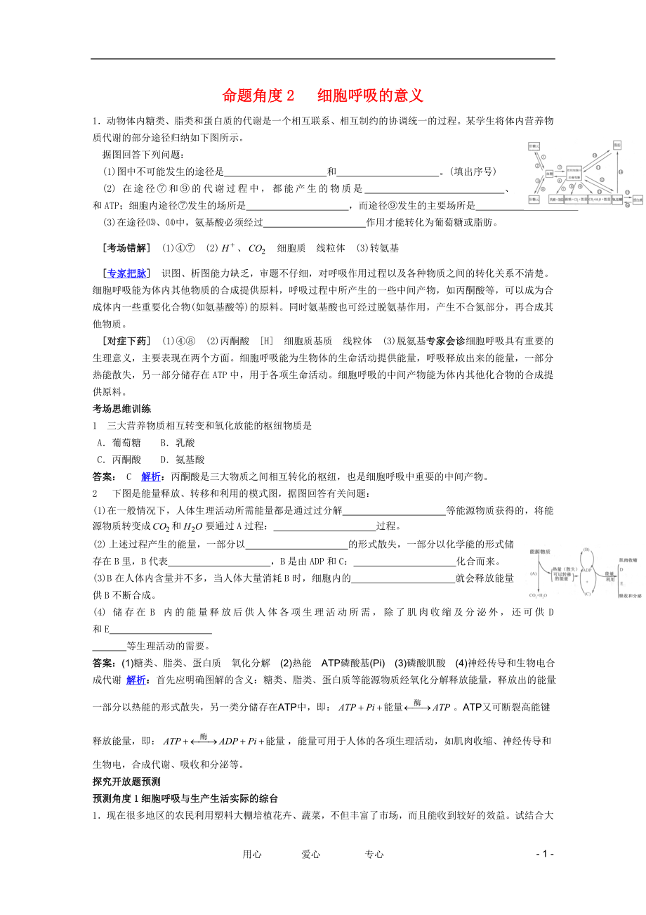 2012高考生物 考點(diǎn)命題角度預(yù)測(cè)練習(xí) 考點(diǎn)13 細(xì)胞呼吸 命題角度2 細(xì)胞呼吸的意義_第1頁(yè)