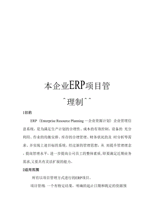 本企业ERP项目管理制度模板