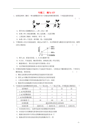 2013屆高三生物二輪專(zhuān)題 三細(xì)胞的代謝 酶與ATP 新人教版