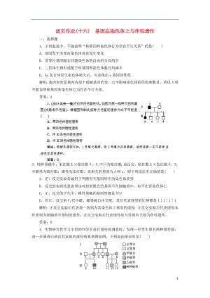 2014高三生物一輪復(fù)習(xí)指導(dǎo) 活頁(yè)作業(yè)16 基因在染色體上與伴性遺傳（含解析）新人教版