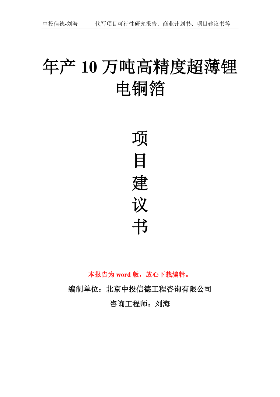 年产10万吨高精度超薄锂电铜箔项目建议书写作模板_第1页