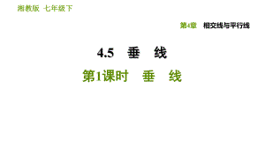 湘教版七年級下冊數(shù)學(xué)課件 第4章 4.5.1　垂　線