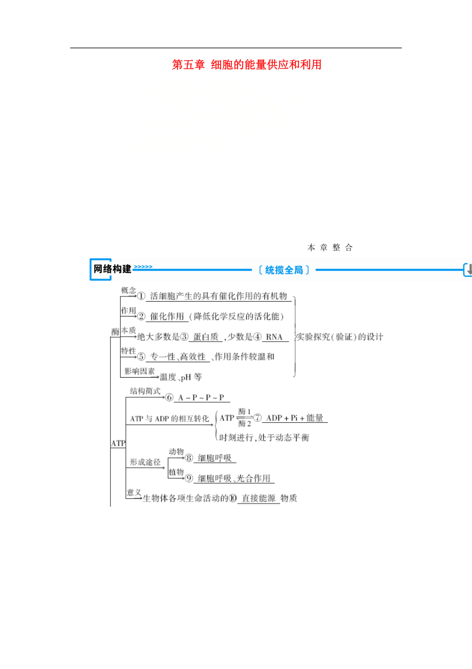 高中生物必修1學(xué)案： 第五章 細(xì)胞的能量供應(yīng)和利用本章整合學(xué)案 新人教版必修1_第1頁