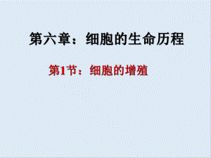 廣東省惠州市江南學校人教版高中生物必修一課件：第6章第1節(jié)細胞的增殖 共51張PPT