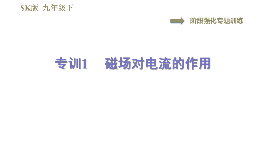 蘇科版九年級(jí)下冊(cè)物理課件 第16章 16.5階段強(qiáng)化專(zhuān)題訓(xùn)練專(zhuān)訓(xùn)1磁場(chǎng)對(duì)電流的作用0_第1頁(yè)