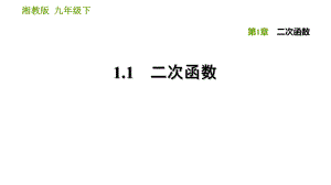 湘教版九年級(jí)下冊(cè)數(shù)學(xué)課件 第1章 1.1 二次函數(shù)