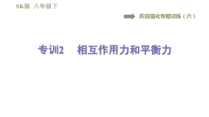 蘇科版八年級(jí)下冊(cè)物理課件 第9章 階段強(qiáng)化專題訓(xùn)練（六）專訓(xùn)2相互作用力和平衡力