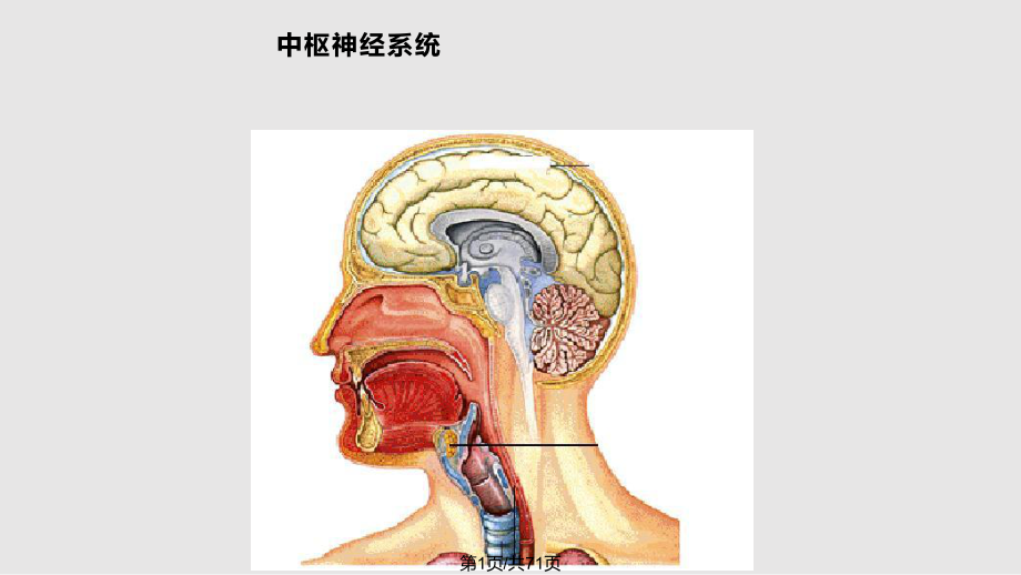 药物化学第二_第1页