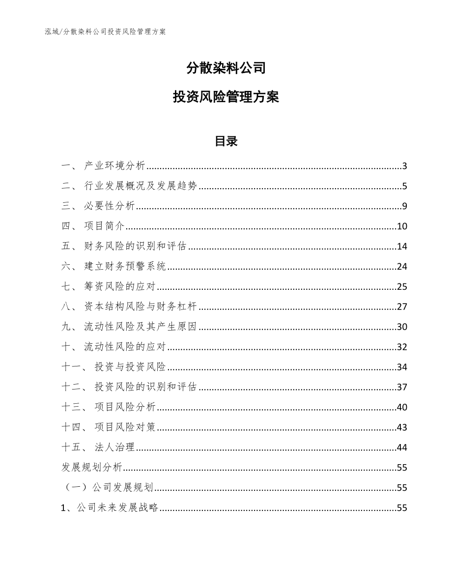 分散染料公司投资风险管理方案_第1页