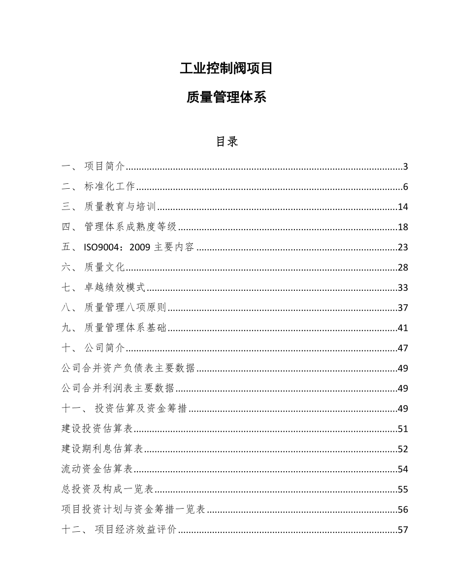 工业控制阀项目质量管理体系_第1页