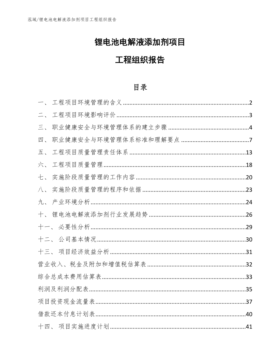 锂电池电解液添加剂项目工程组织报告【参考】_第1页