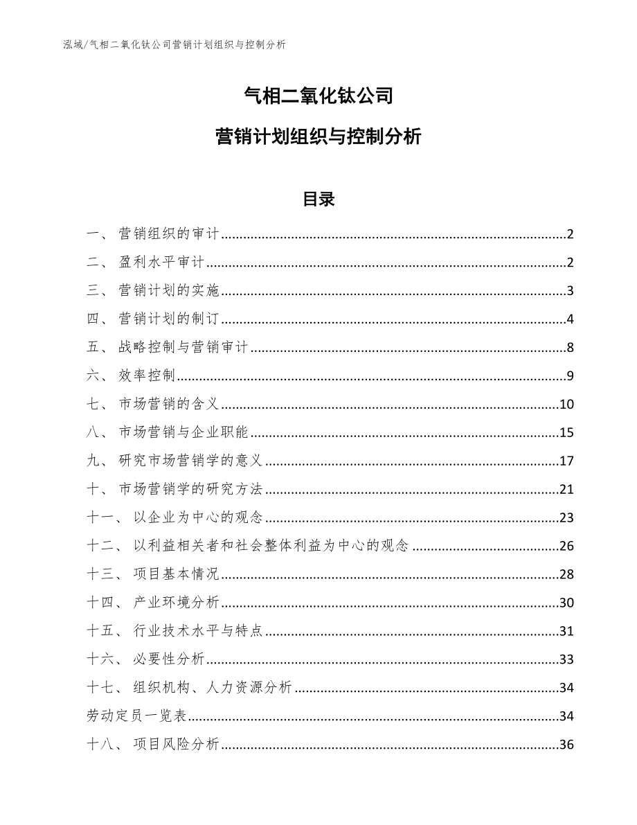 气相二氧化钛公司营销计划组织与控制分析（参考）_第1页