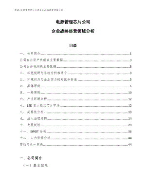 电源管理芯片公司企业战略经营领域分析_参考