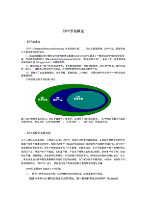 ERP系统的管理概论