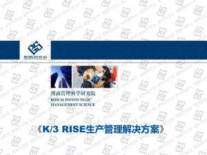 k3+RISE生产管理解决方案(企业培训教学课件)