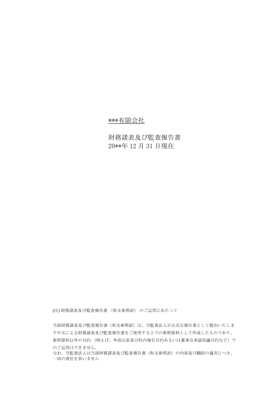 中国准则年报报表审计报告和报表附注日文模板_第1页