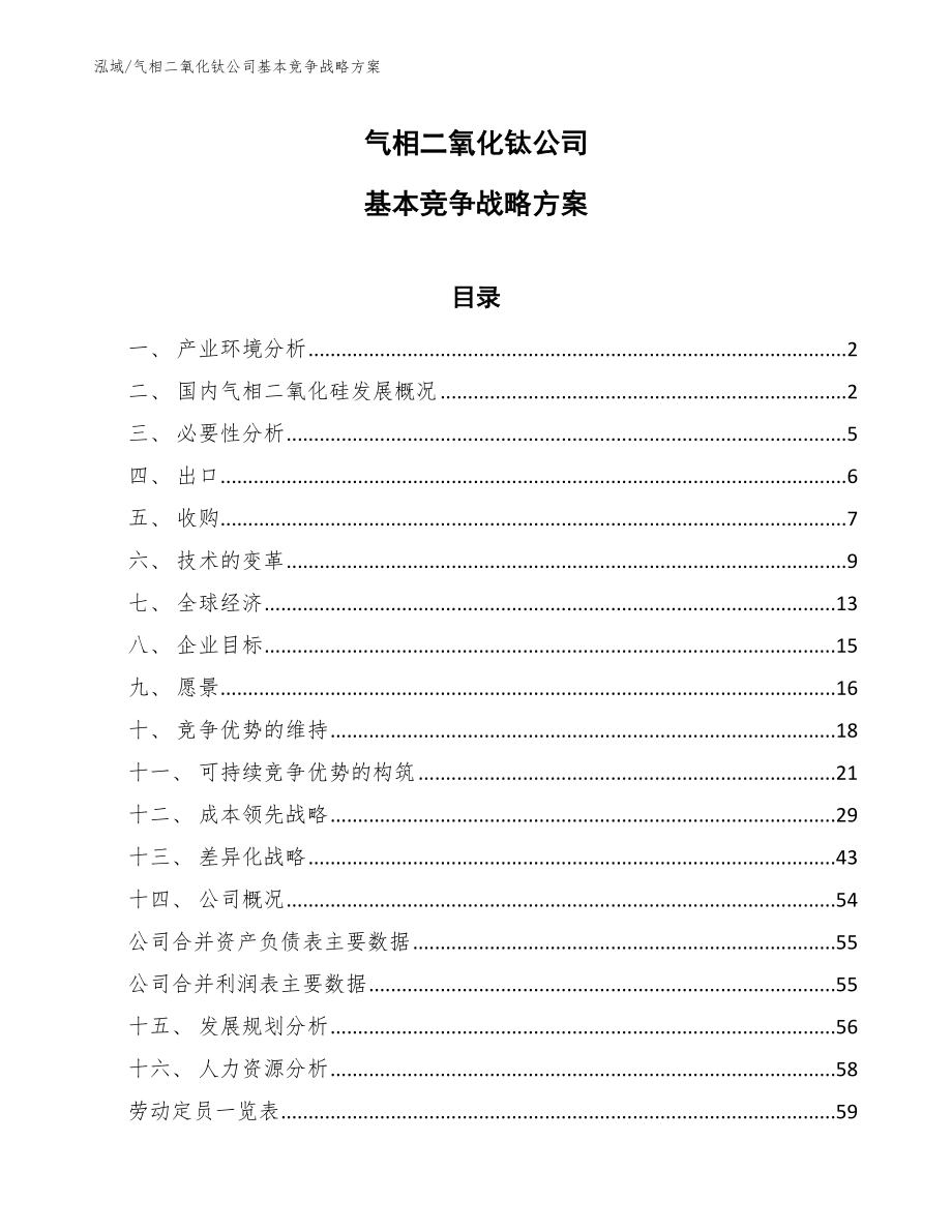 气相二氧化钛公司基本竞争战略方案_第1页