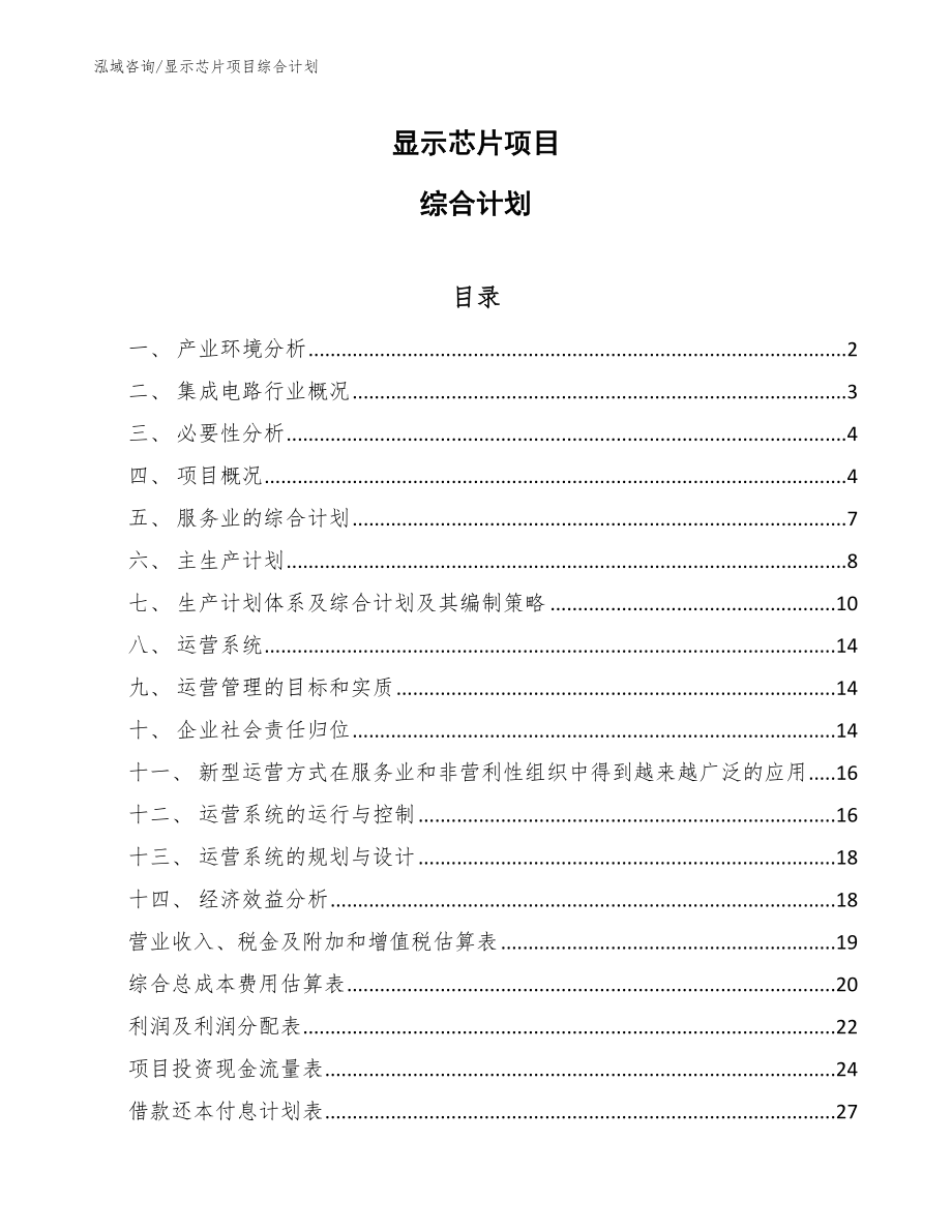 显示芯片项目综合计划【范文】_第1页