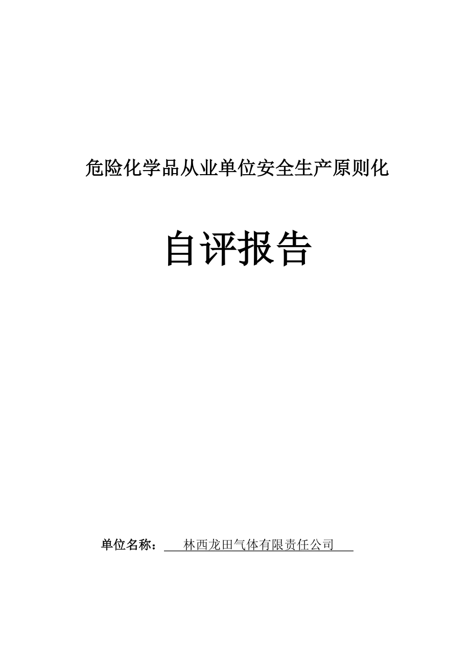 危化品企业安全重点标准化自评经典报告有内容_第1页