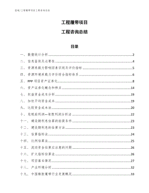 工程履帶項目工程咨詢總結(jié)