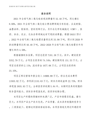 南京气相氧化铝项目实施方案