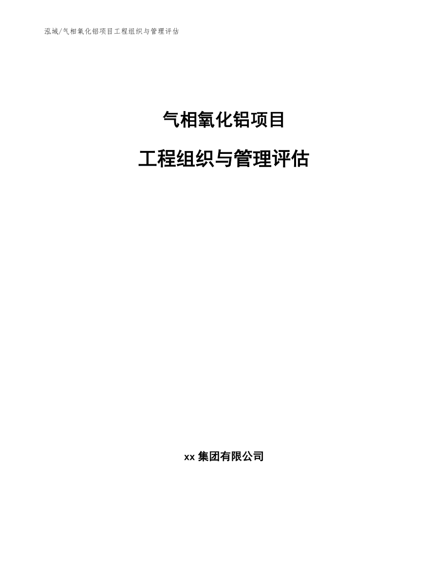 气相氧化铝项目工程组织与管理评估（参考）_第1页