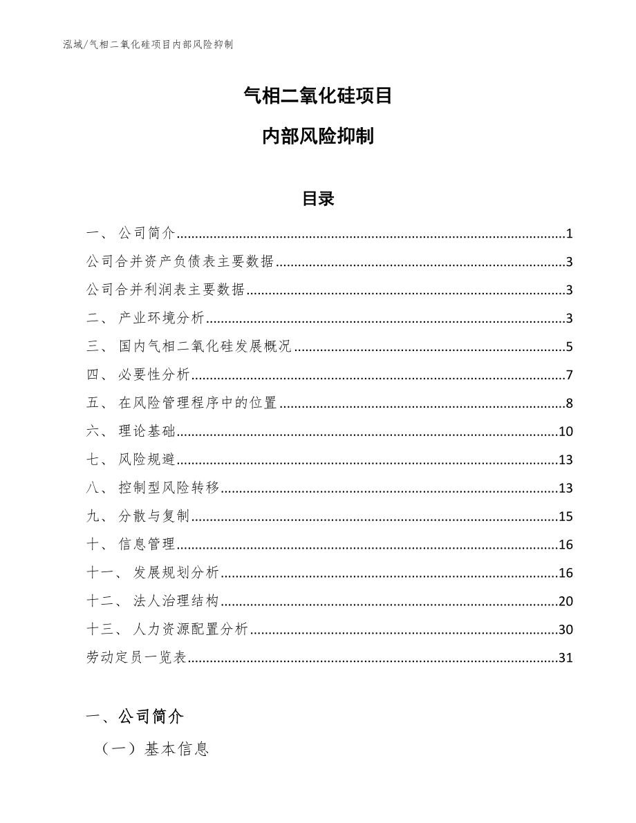 气相二氧化硅项目内部风险抑制【范文】_第1页