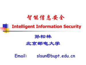 Security_02_计算机通信网-智能信息安全