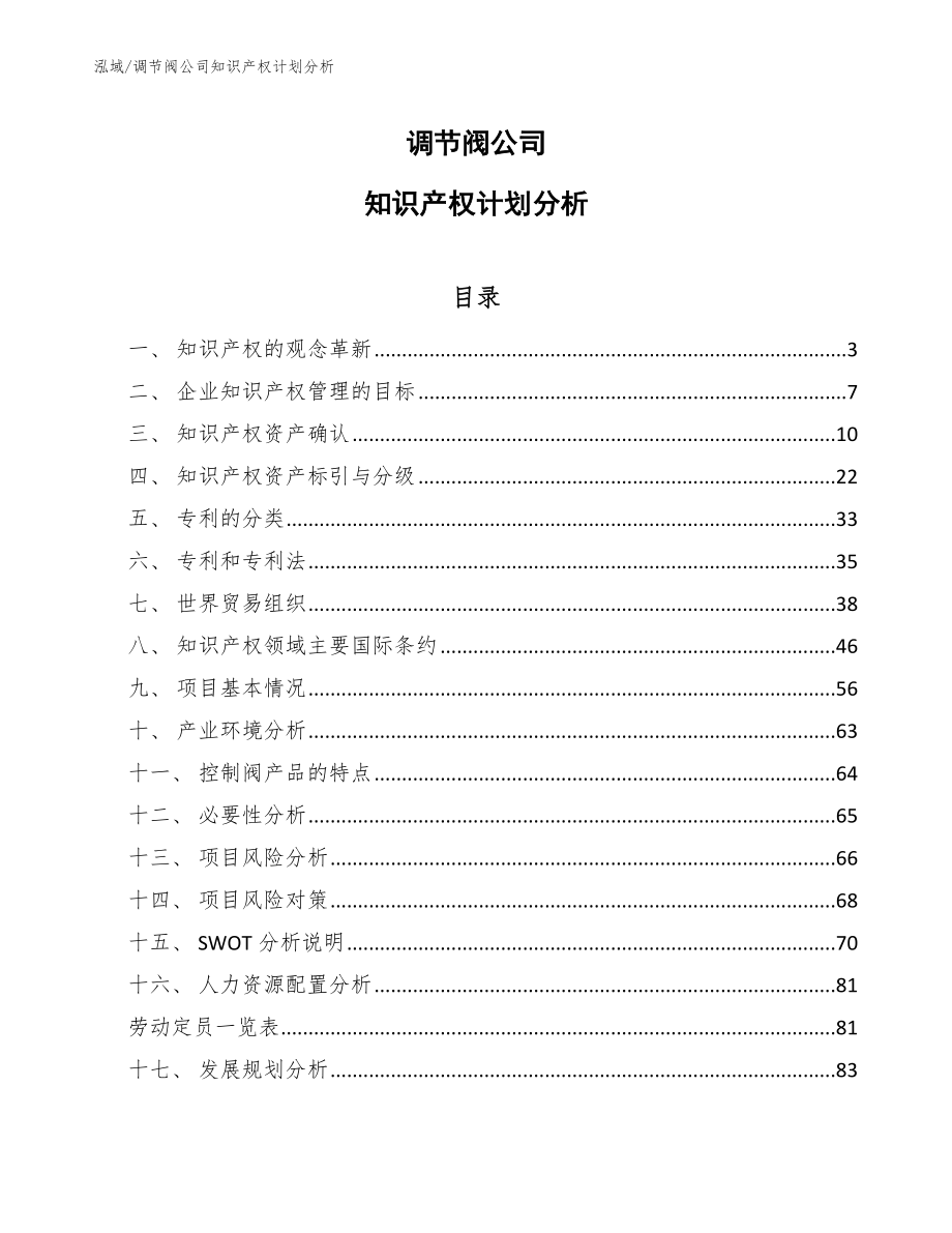 调节阀公司知识产权计划分析_范文_第1页