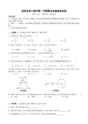 2013学年崇明县初三数学期终调研试卷(含详细答案)