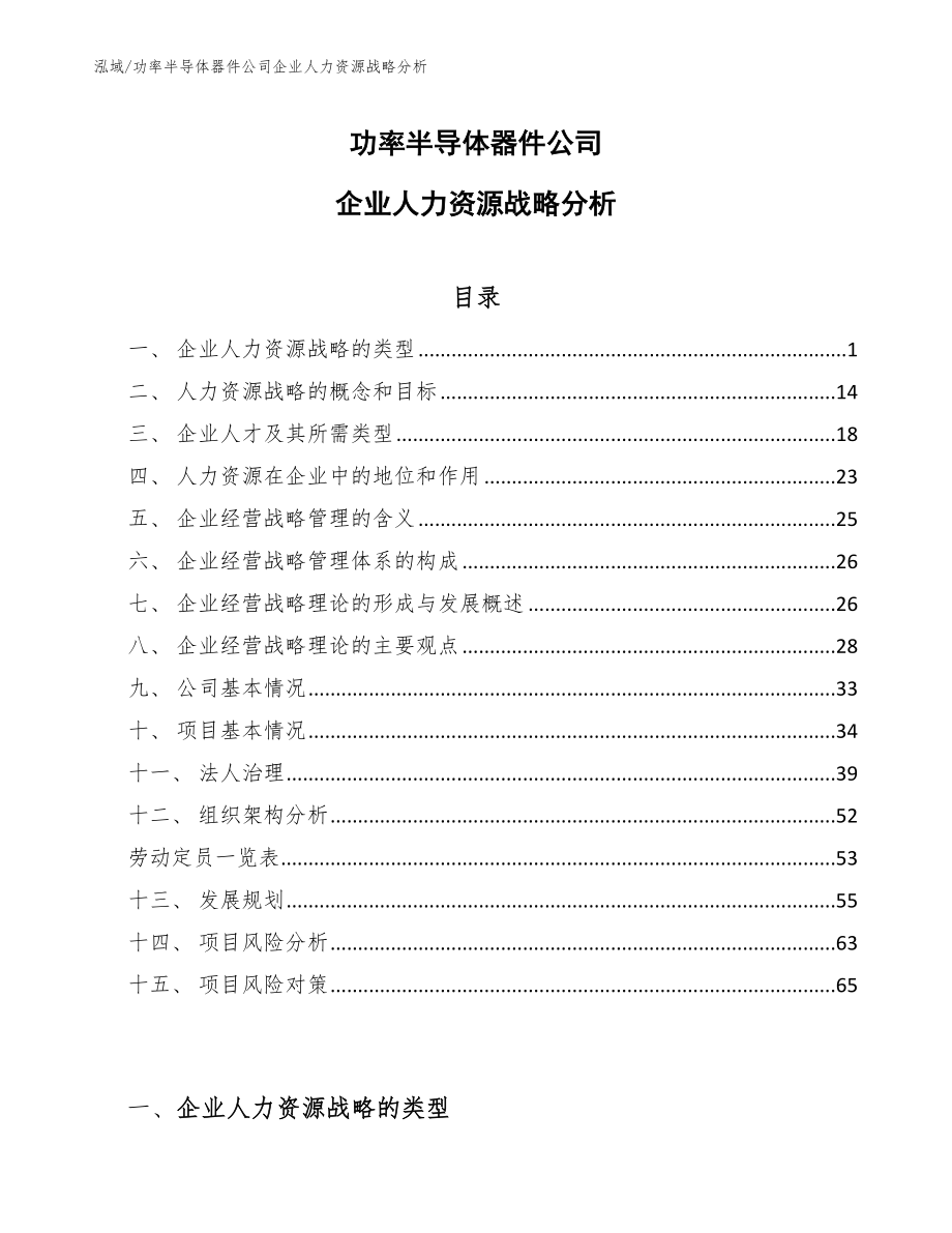 功率半导体器件公司企业人力资源战略分析_第1页