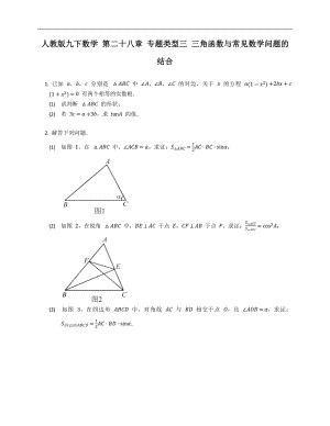 人教版九下數(shù)學(xué) 第二十八章 專(zhuān)題類(lèi)型三 三角函數(shù)與常見(jiàn)數(shù)學(xué)問(wèn)題的結(jié)合