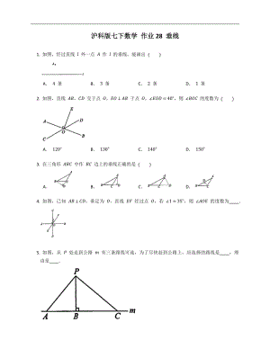 滬科版七下數(shù)學(xué) 作業(yè)28 垂線