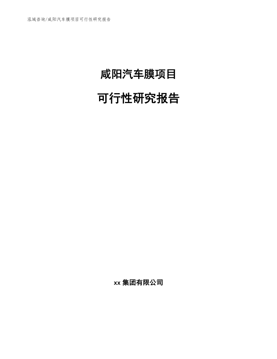 咸阳汽车膜项目可行性研究报告【模板范本】_第1页