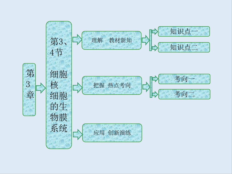 高中生物北師大版必修一課件：第3章 第3、4節(jié) 細胞核 細胞的生物膜系統(tǒng)_第1頁