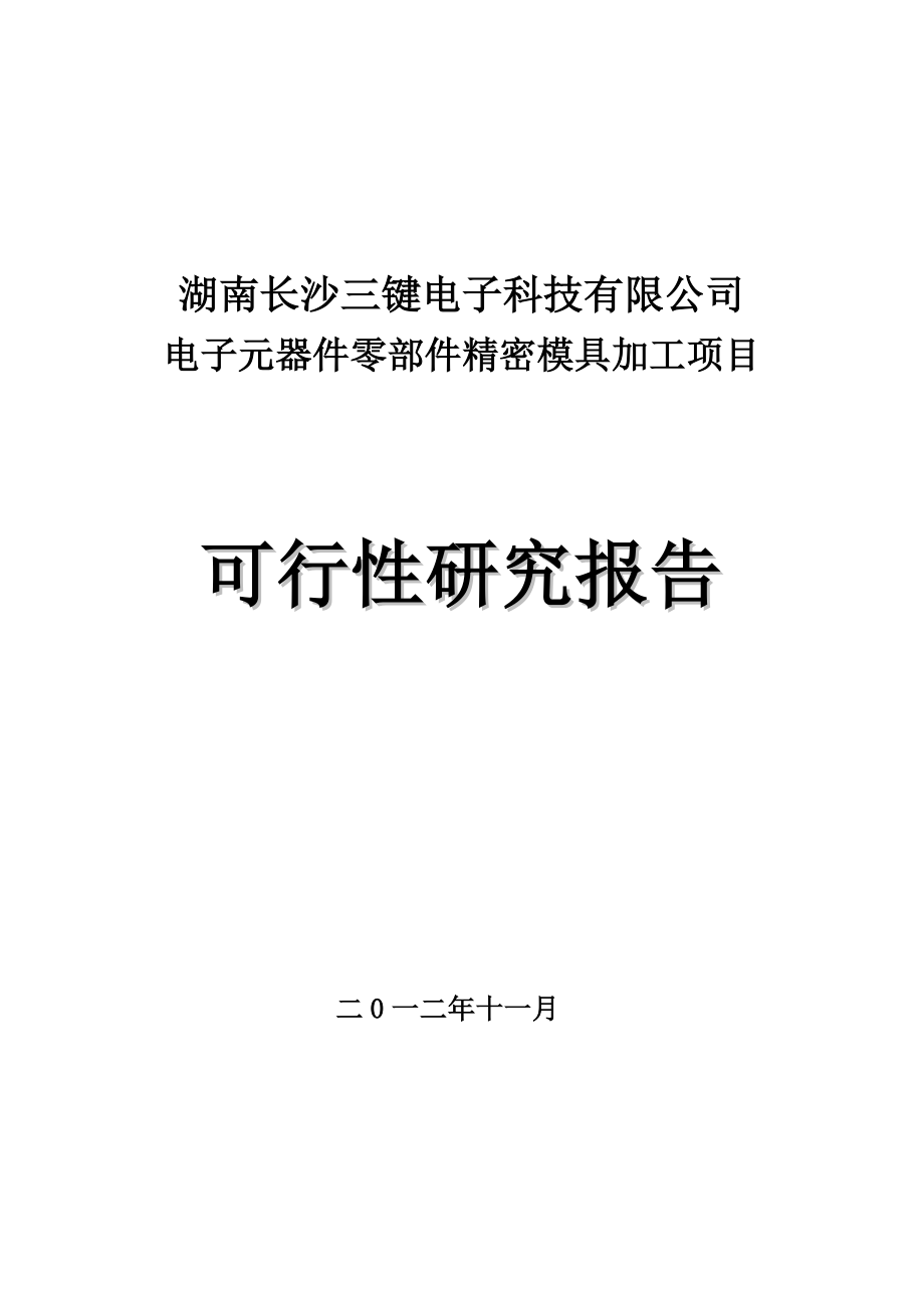 湖南长沙三键电子科技有限公司电子元器件零部件精密模具加工项目可行性研究报告_第1页