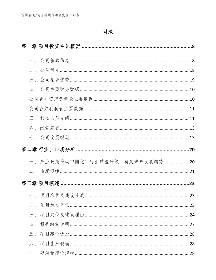 南京塔填料项目投资计划书（参考模板）_第1页