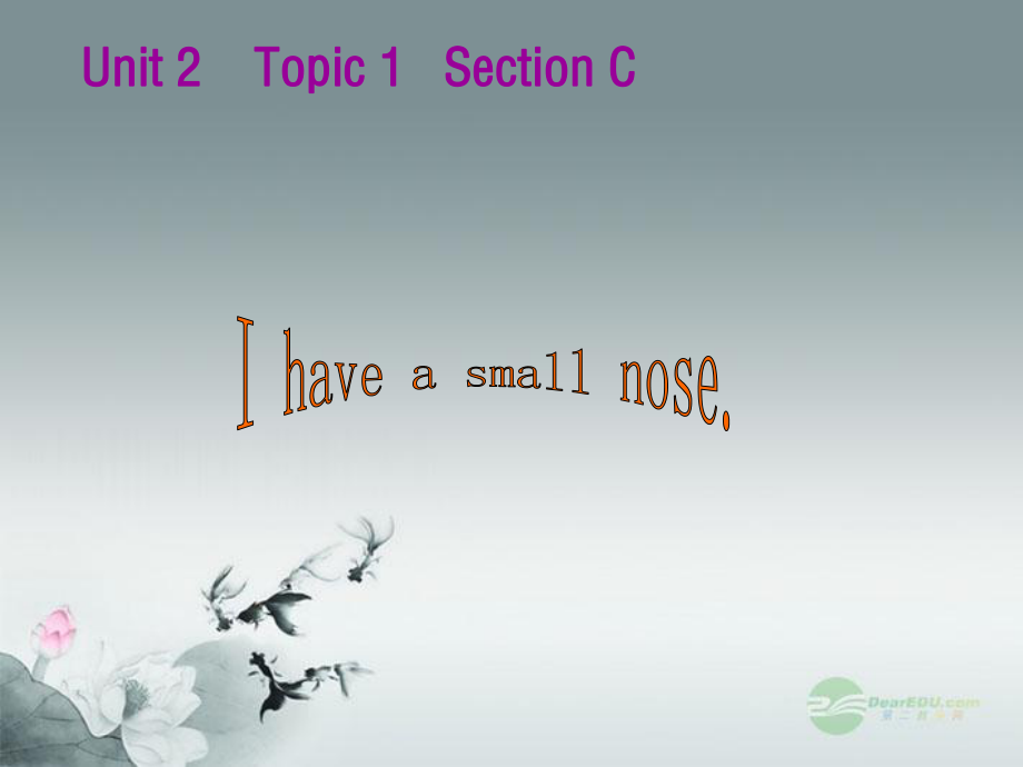 仁愛初中英語七上《Unit 2Topic 1 I have a small noseC》PPT課件 (1)_第1頁