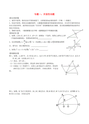 江蘇省昆山市兵希中學中考數(shù)學二輪總復習 專題一 開放性問題（無答案） 蘇科版