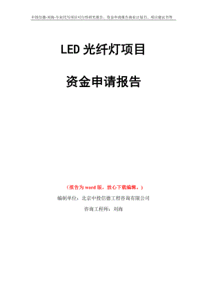 LED光纤灯项目资金申请报告模板