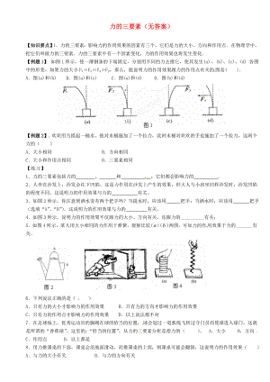 江蘇省大豐市萬盈二中2013屆中考物理總復(fù)習(xí) 力的三要素（無答案）