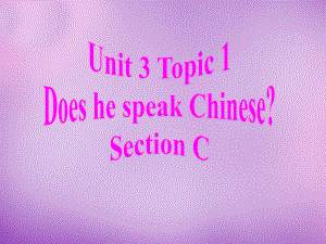 仁愛初中英語七上《Unit 3Topic 1 Does he speak ChineseC》PPT課件 (1)