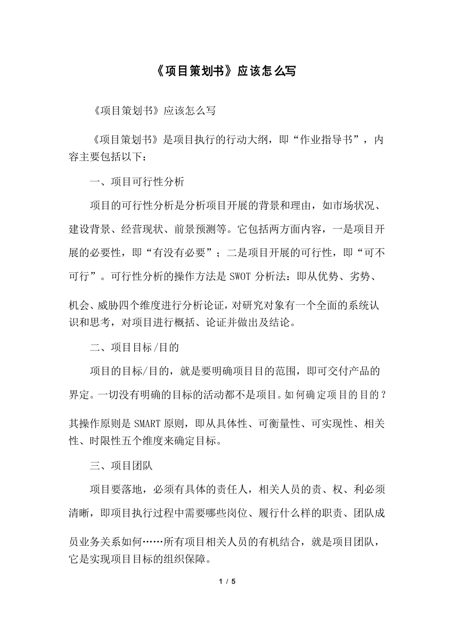 《項目策劃書》應(yīng)該怎么寫_第1頁