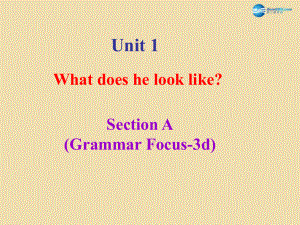 七年级英语上册 Unit 1 What does he look like？Section A（Grammar focus-3d）课件