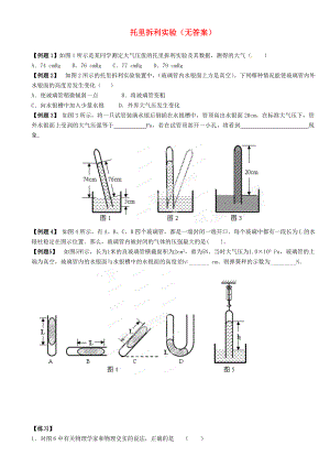 江蘇省大豐市萬(wàn)盈二中2013屆中考物理總復(fù)習(xí) 托里拆利實(shí)驗(yàn)（無(wú)答案）