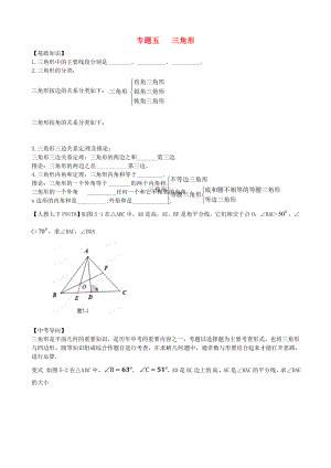 內(nèi)蒙古鄂爾多斯市東勝區(qū)培正中學(xué)2013屆中考數(shù)學(xué)專題復(fù)習(xí) 專題五 三角形（無答案） 新人教版